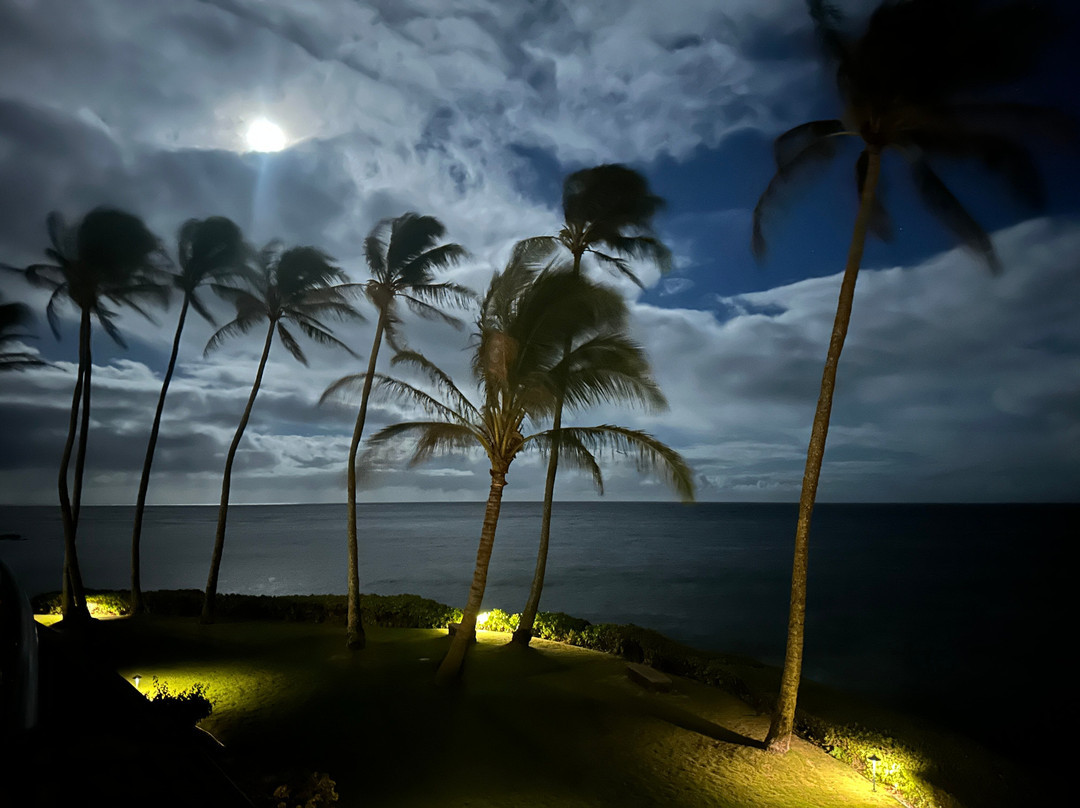Whalers Cove Oceanfront Resort主图