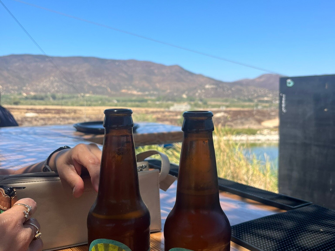 Vena Cava-Valle de Guadalupe必去景点