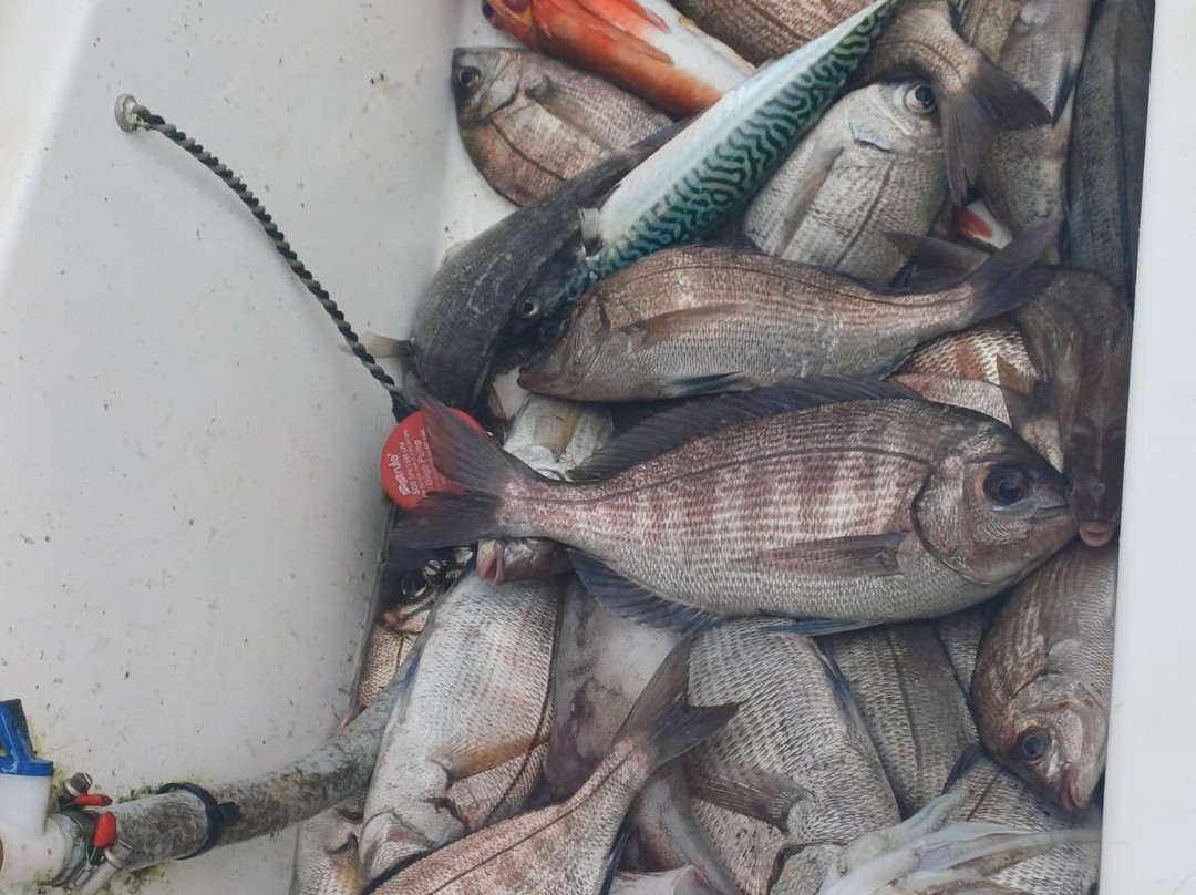 Brest Fishing-布列斯特必去景点