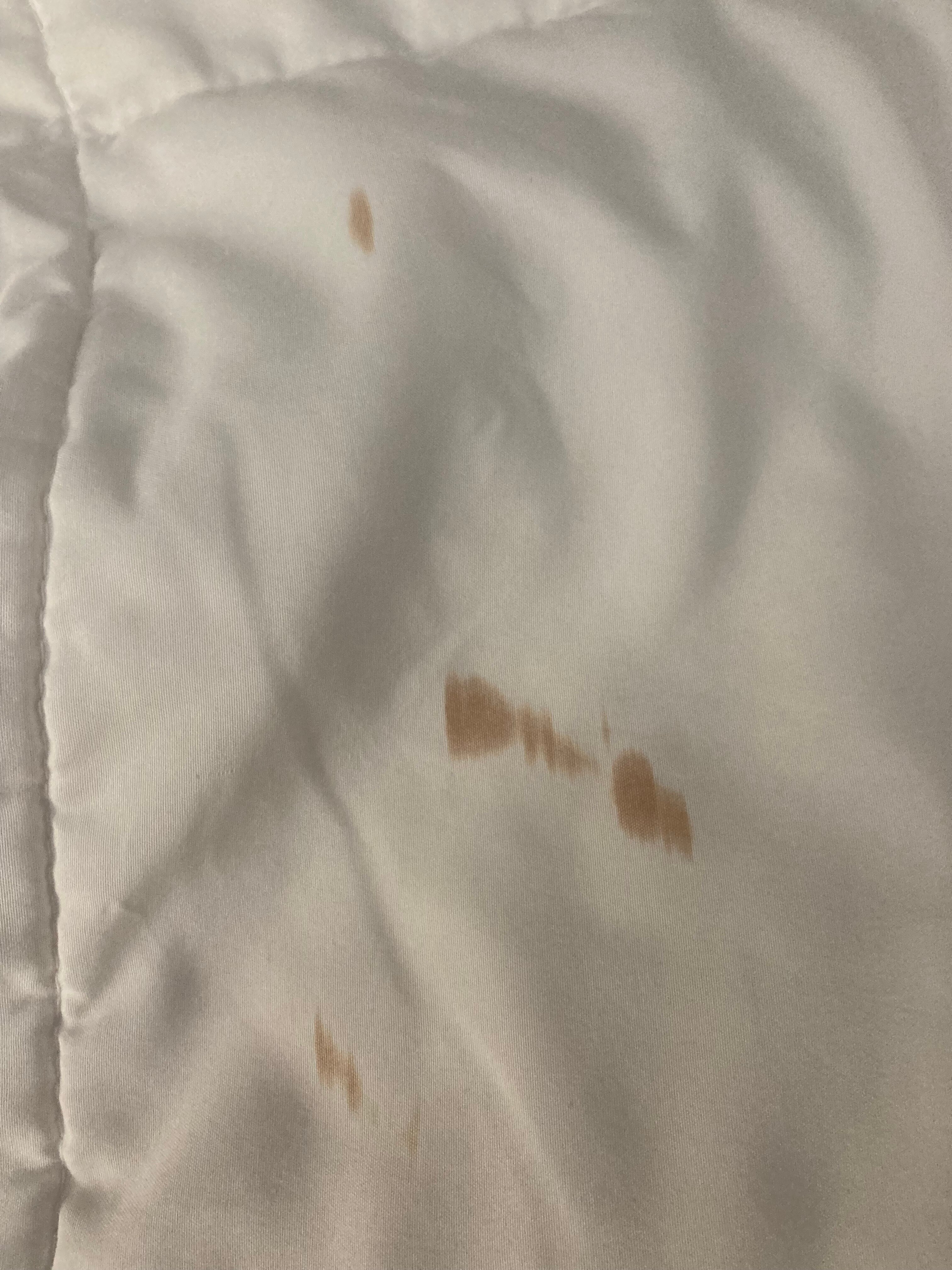 鲁伊多索唐斯拉昆塔温德姆套房酒店-官方