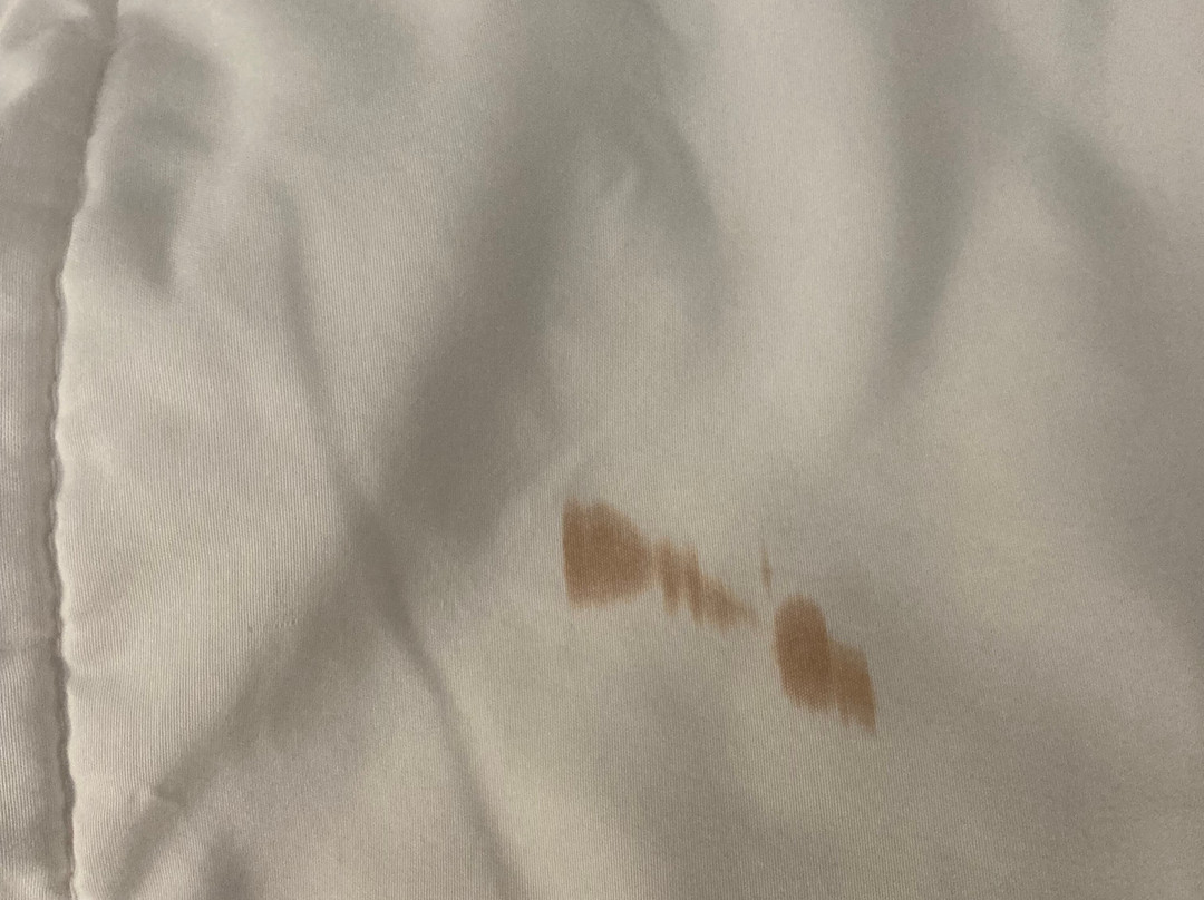 La Quinta Inn & Suites by Wyndham Ruidoso Downs主图