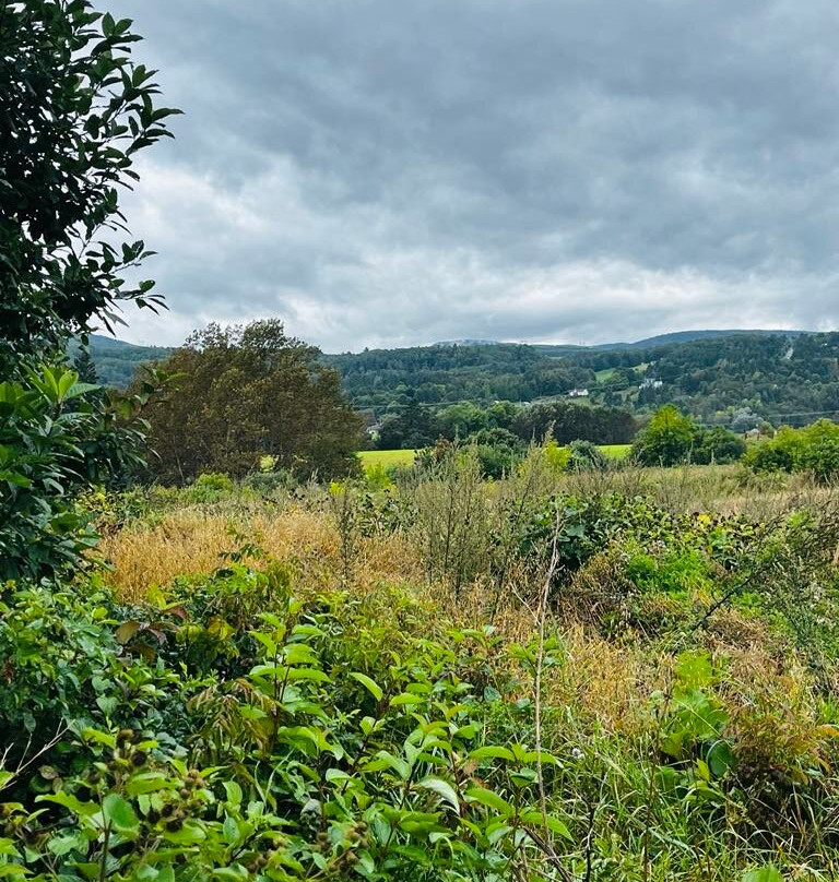 Parc du Gouffre-Baie-St-Paul必去景点