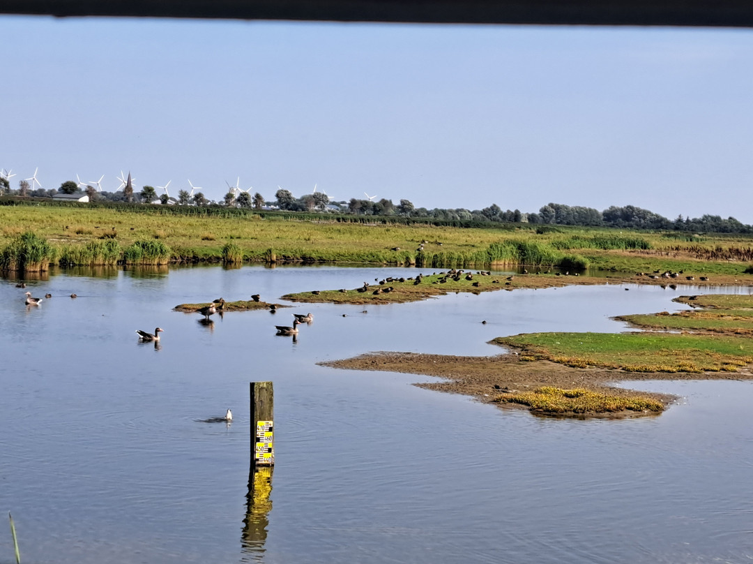 NABU-Wasservogelreservat Wallnau-Fehmarn必去景点