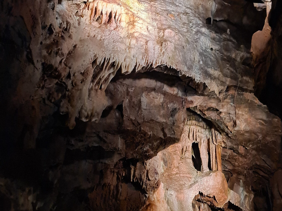 Gough's Cave-Cheddar必去景点