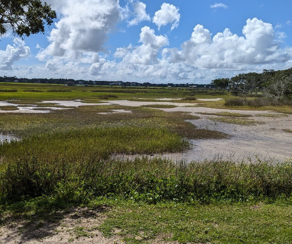 Bloody Marsh-圣西蒙斯岛必去景点