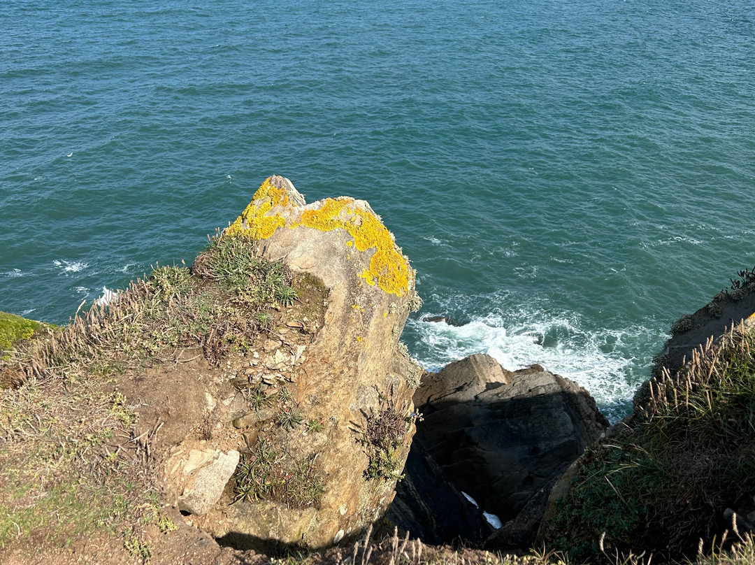 Baggy Point Easy Access Walk景点图片