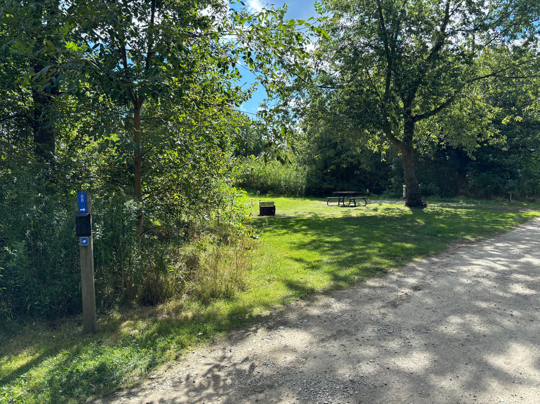 Selkirk Provincial Park-Selkirk必去景点