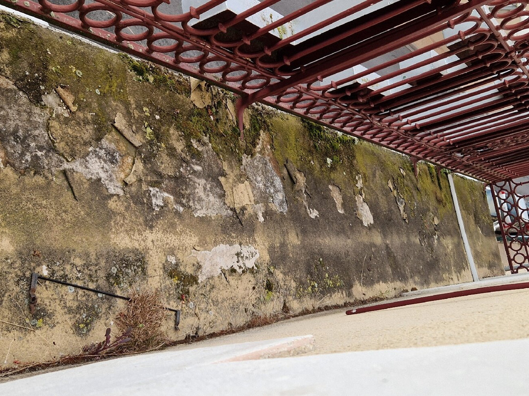 Logis Hôtel de France Rest. le Lucullus主图