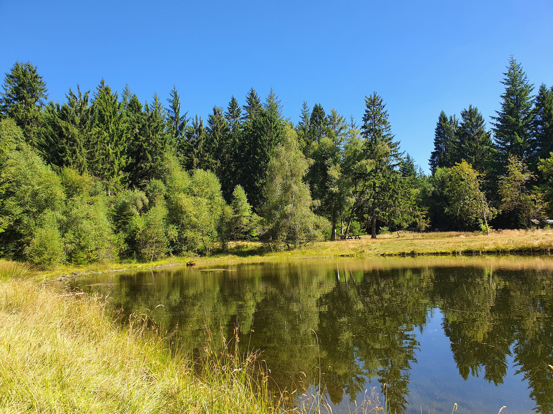 Tour Panoramique Du Mont Bessou景点图片
