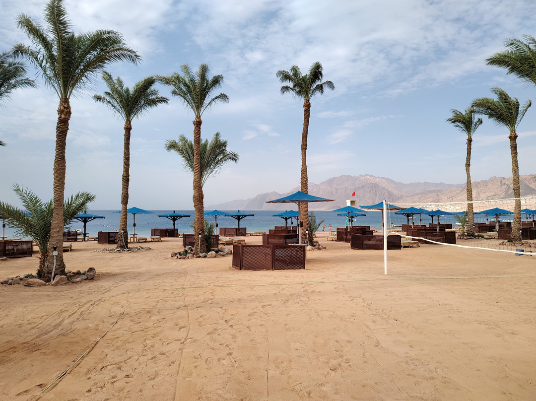 Safir Dahab Resort主图