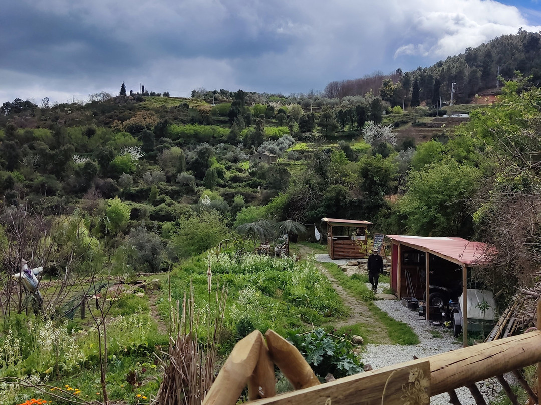 Quinta Do Luar景点图片