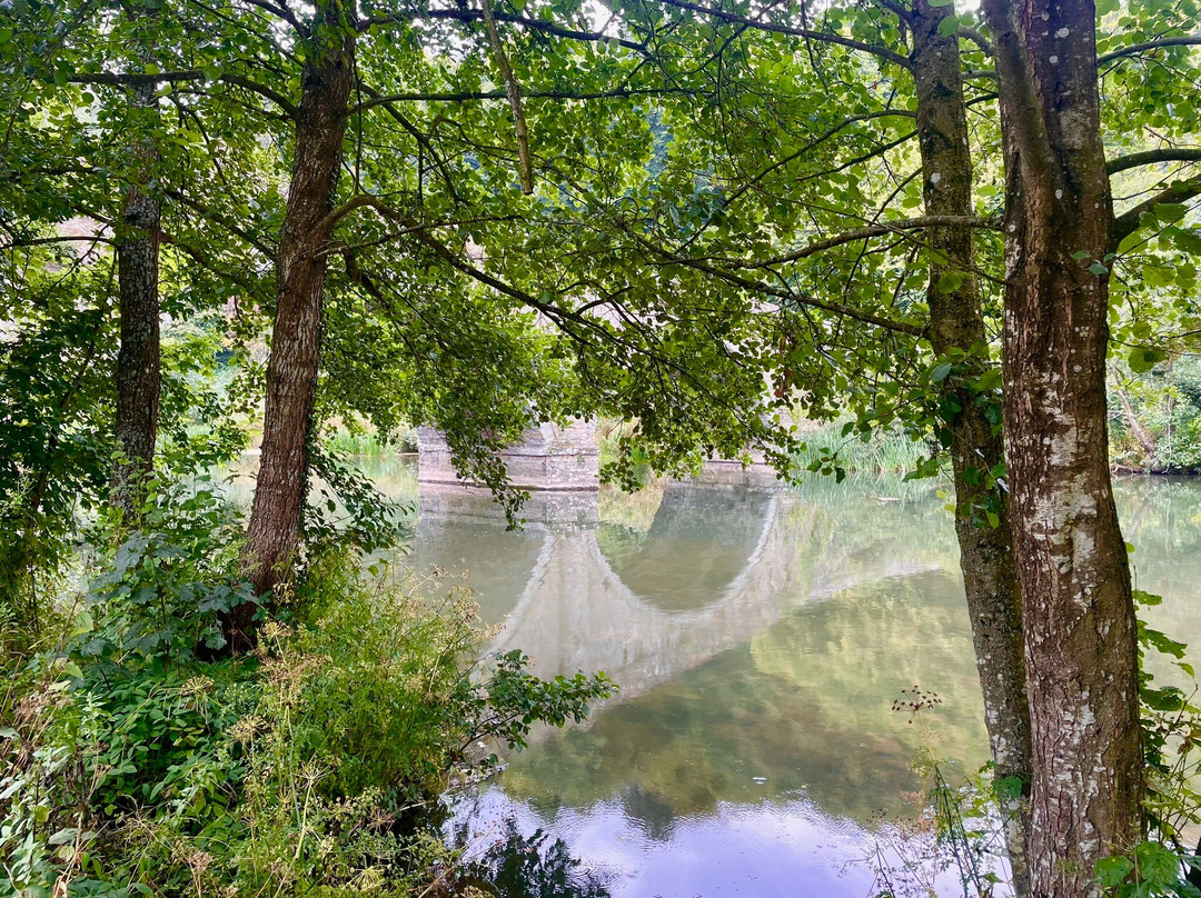 Dinham Bridge景点图片