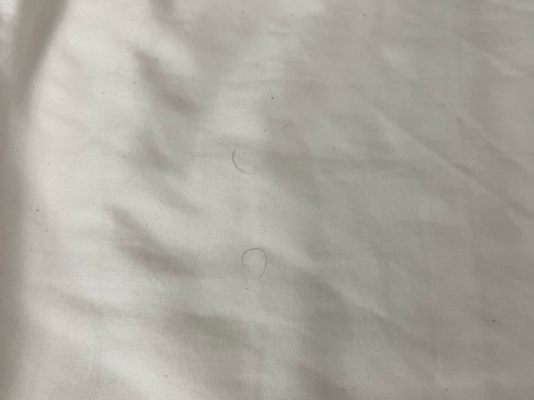 Travelodge by Wyndham Livingston主图