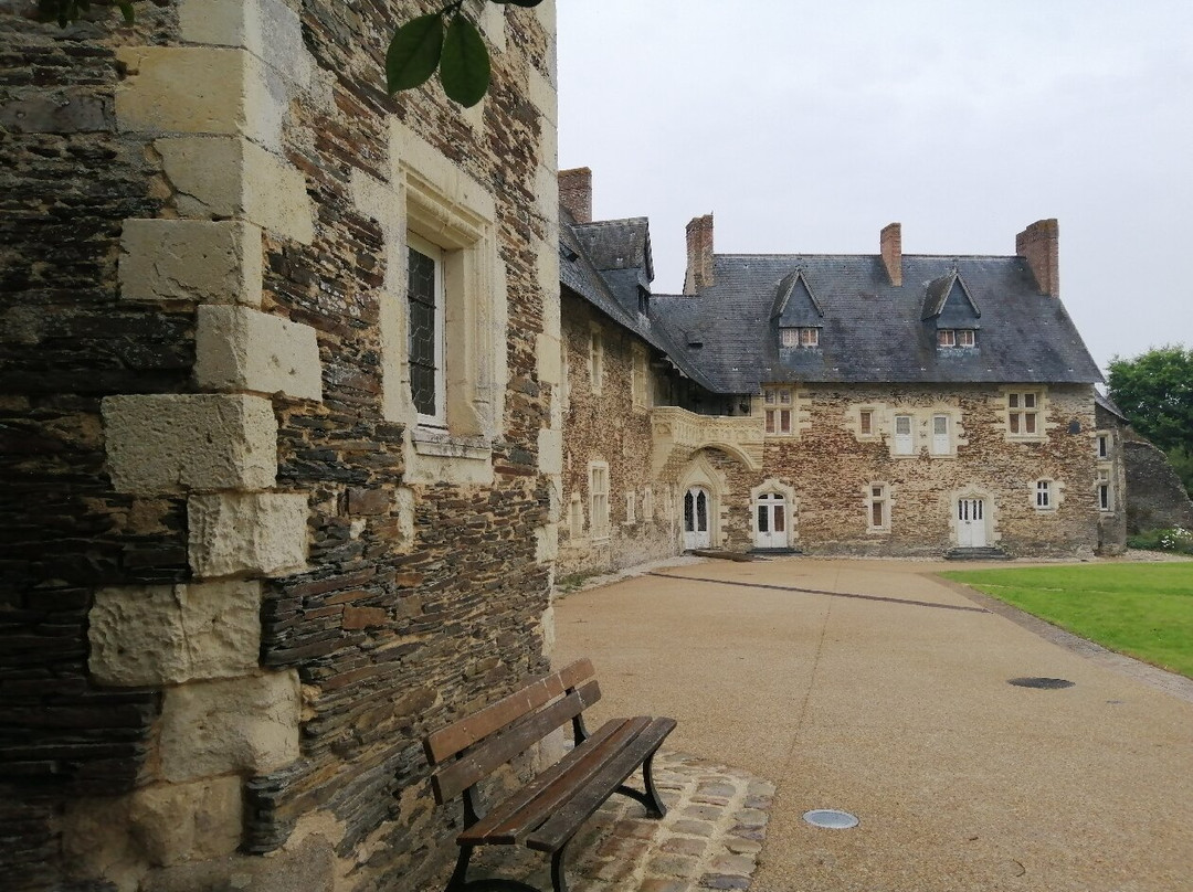 Chateau du Plessis-Mace景点图片
