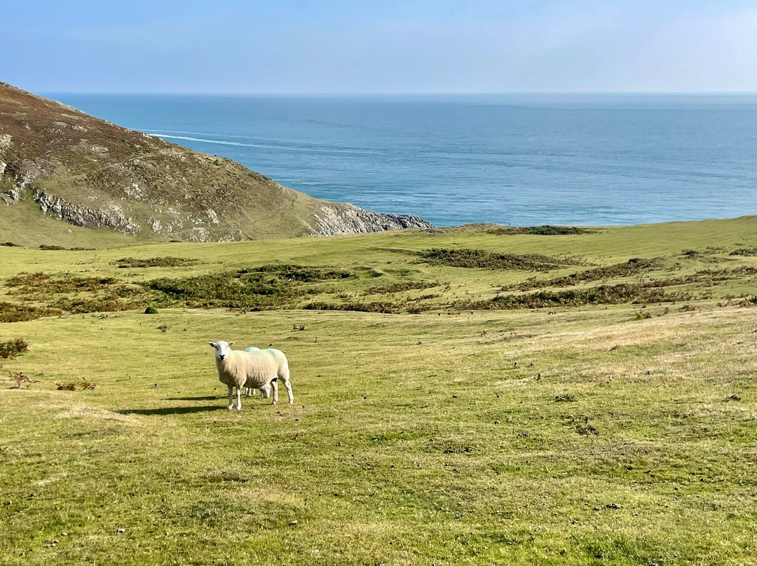 Mynydd Mawr景点图片