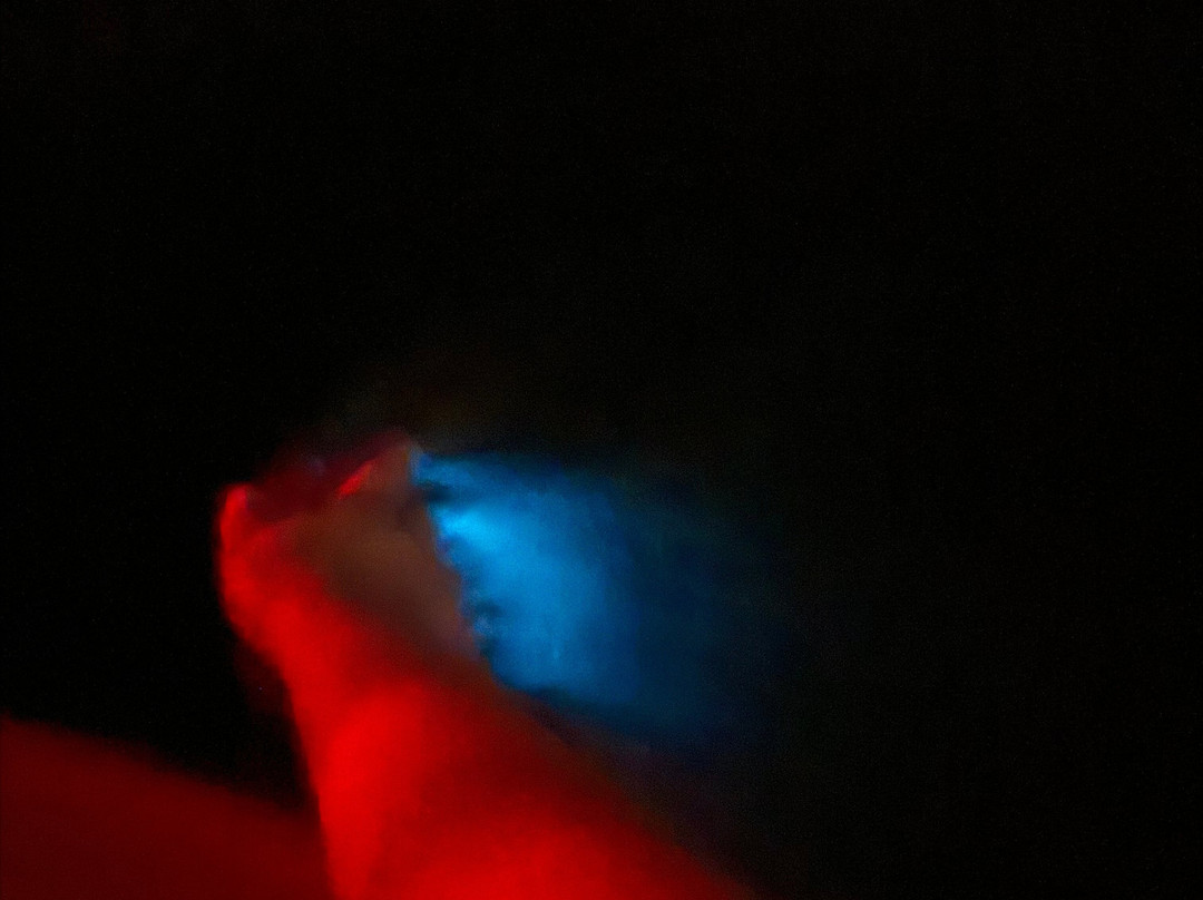 Eco Action Tours-Las Croabas必去景点