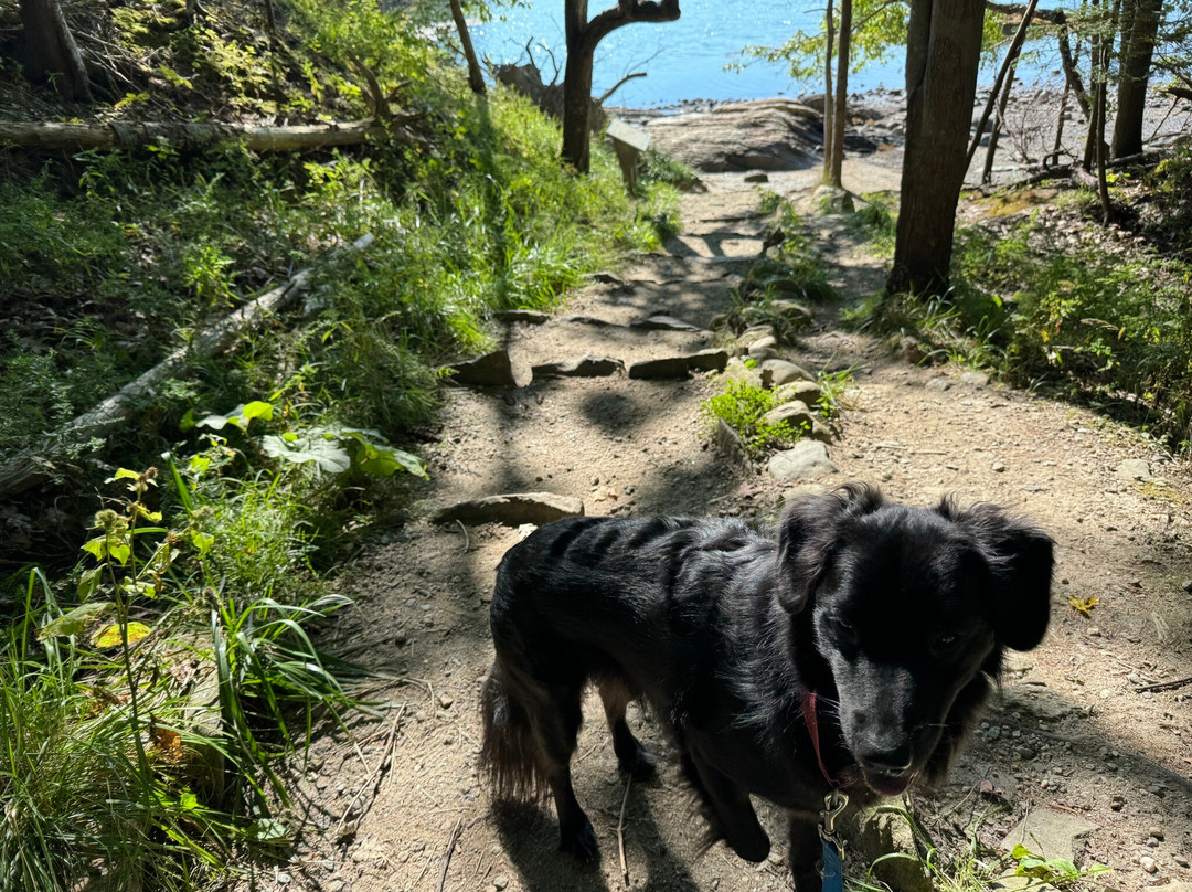 Wolfe's Neck Woods State Park景点图片