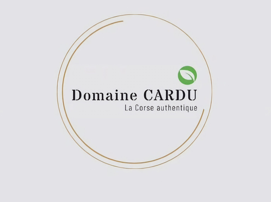 Campo旅游攻略图片