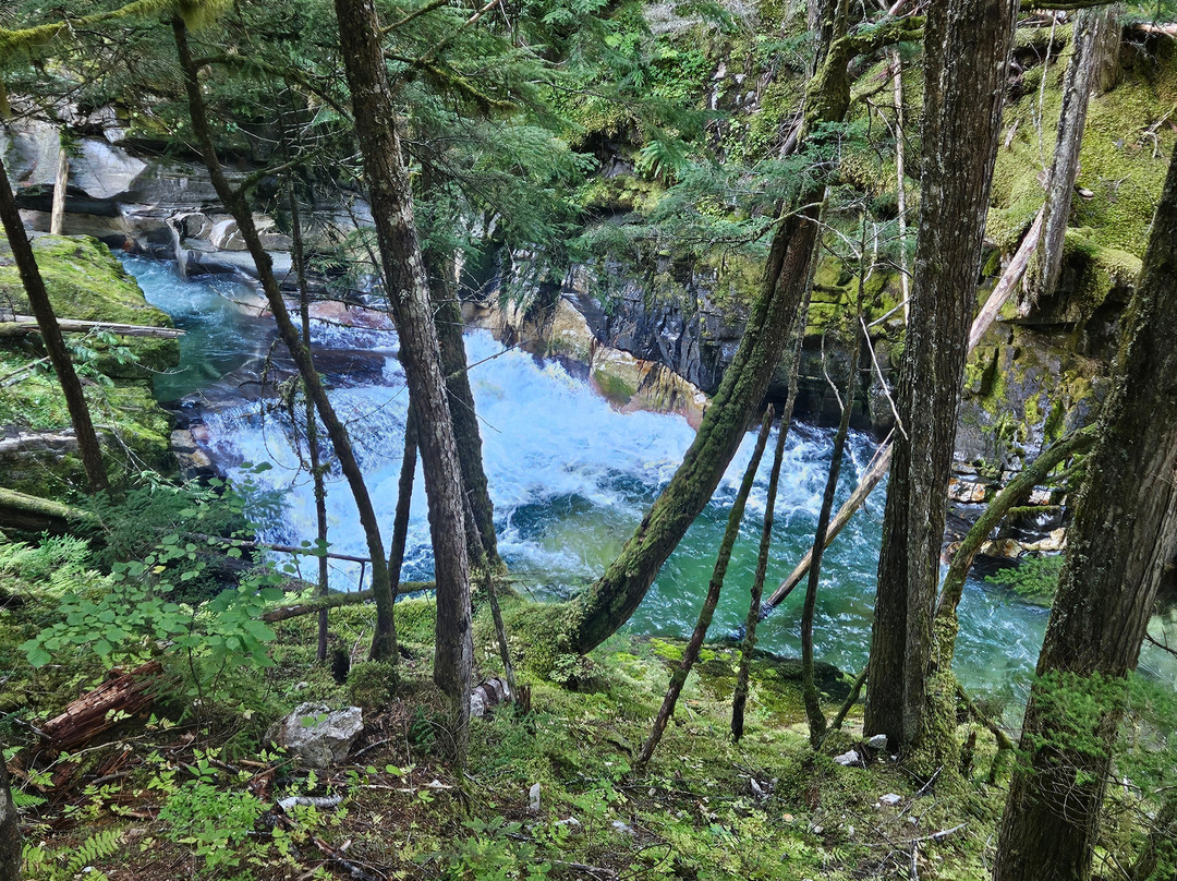 Crazy Creek Suspension Bridge景点图片