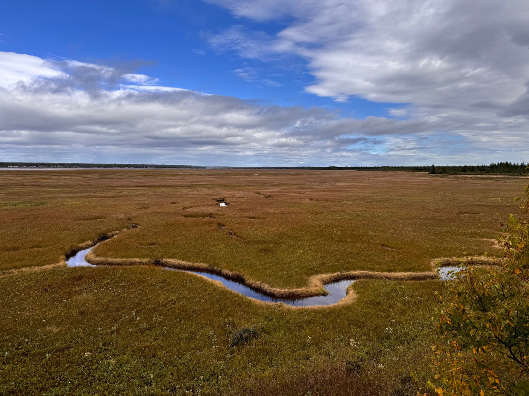 Parc Nature de Pointe-aux-Outardes-Pointe-aux-Outardes必去景点