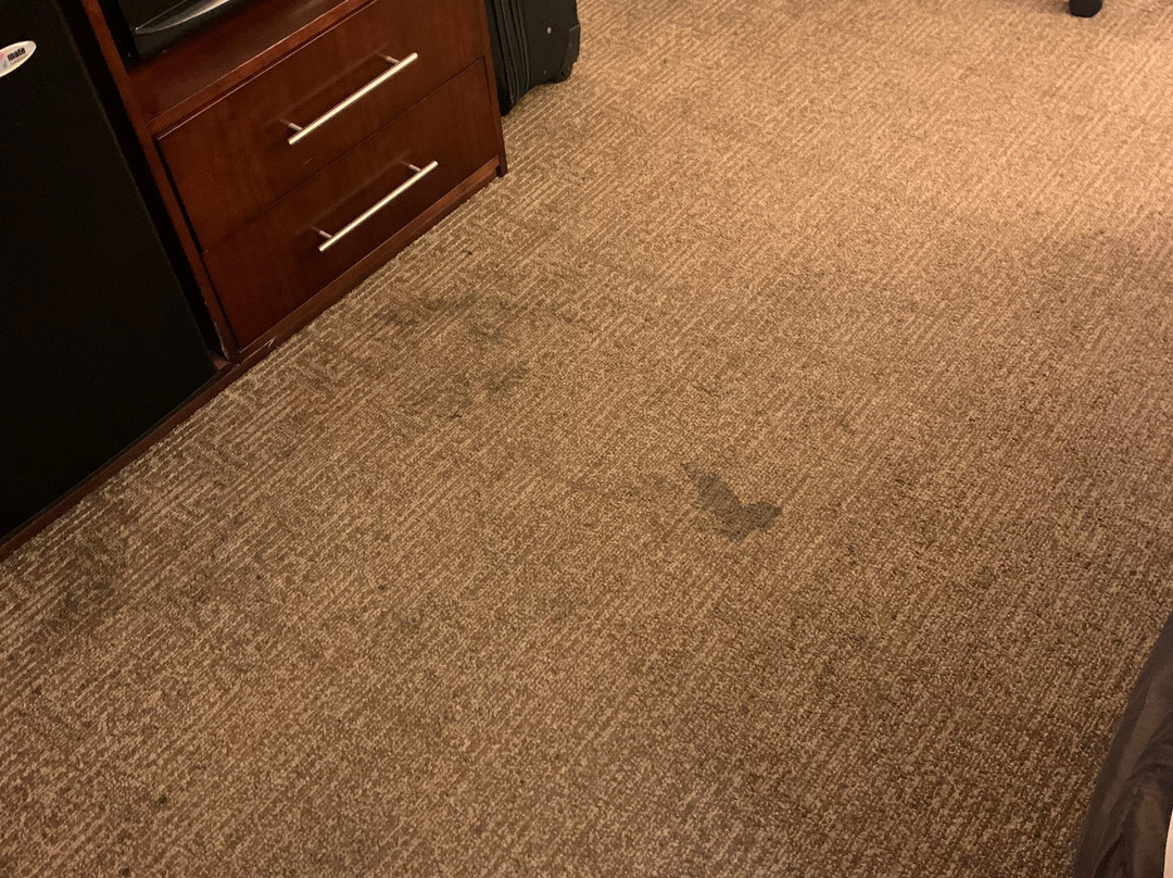 拉丁顿智选假日酒店主图