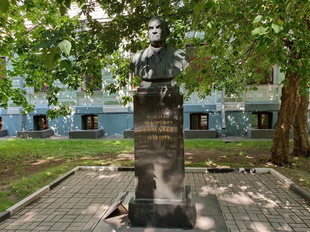 Monument-Bust to N. F. Gamaley景点图片