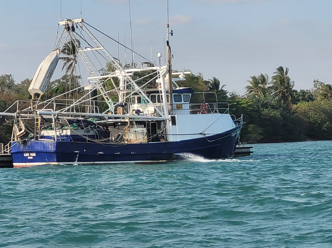 Western Cape Eco Tours-Weipa必去景点