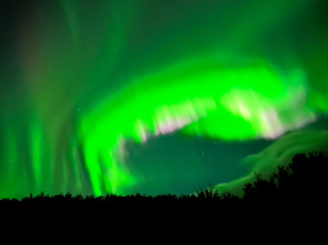 Bjarg Borgarnes主图