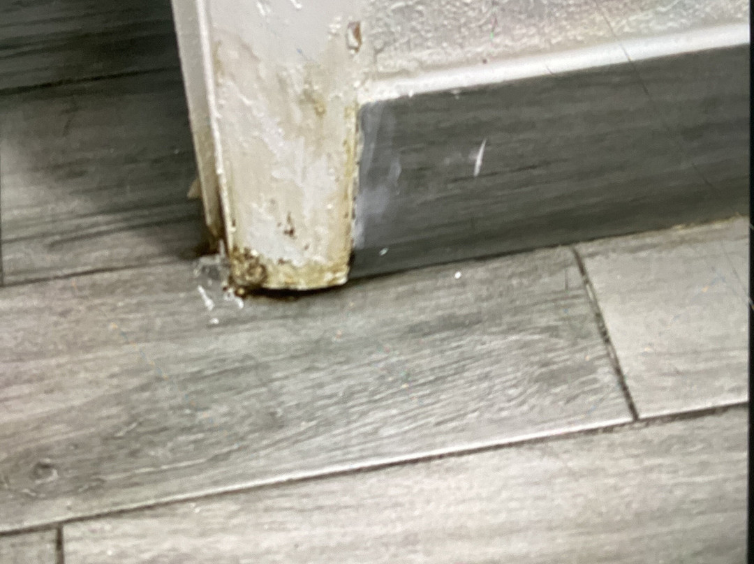 Quality Inn & Suites Hardeeville - Savannah North主图