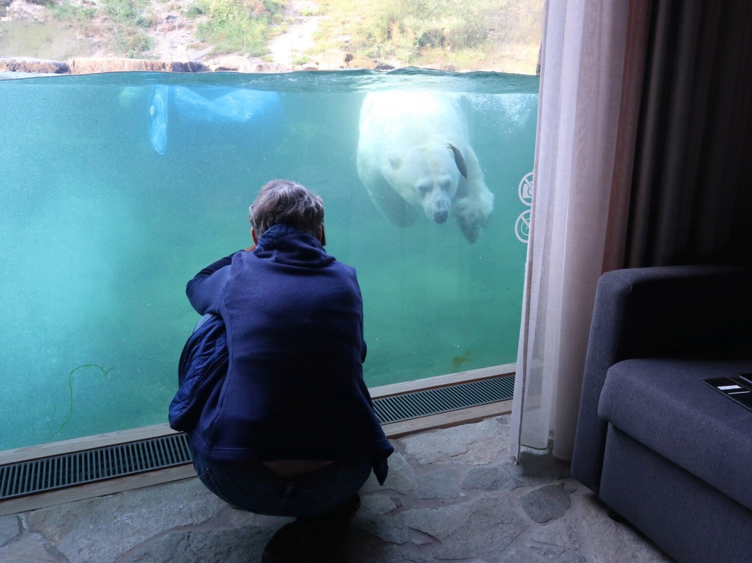 Pairi Daiza Resort主图