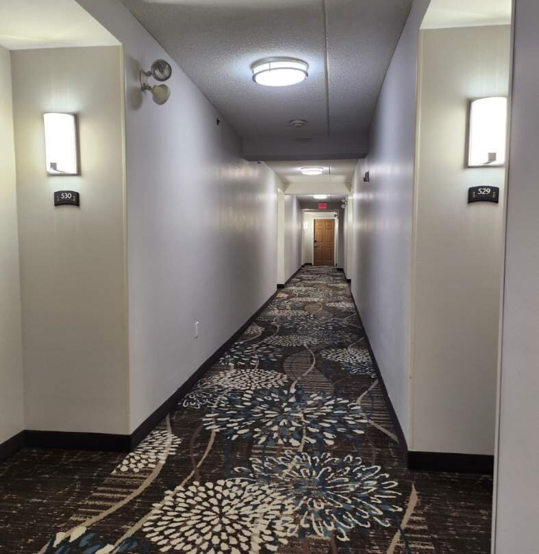 Staybridge Suites Guelph By IHG主图