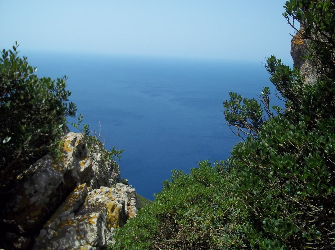 Zembra & Zembretta Islands