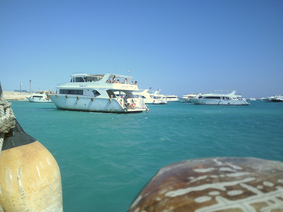 Hashtag Egypt Tours-赫尔格达必去景点