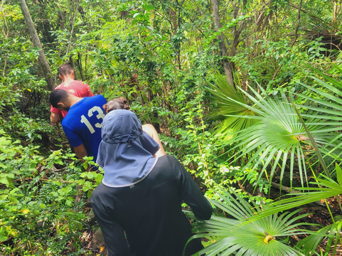 Island Trail Adventures-圣 托马斯必去景点