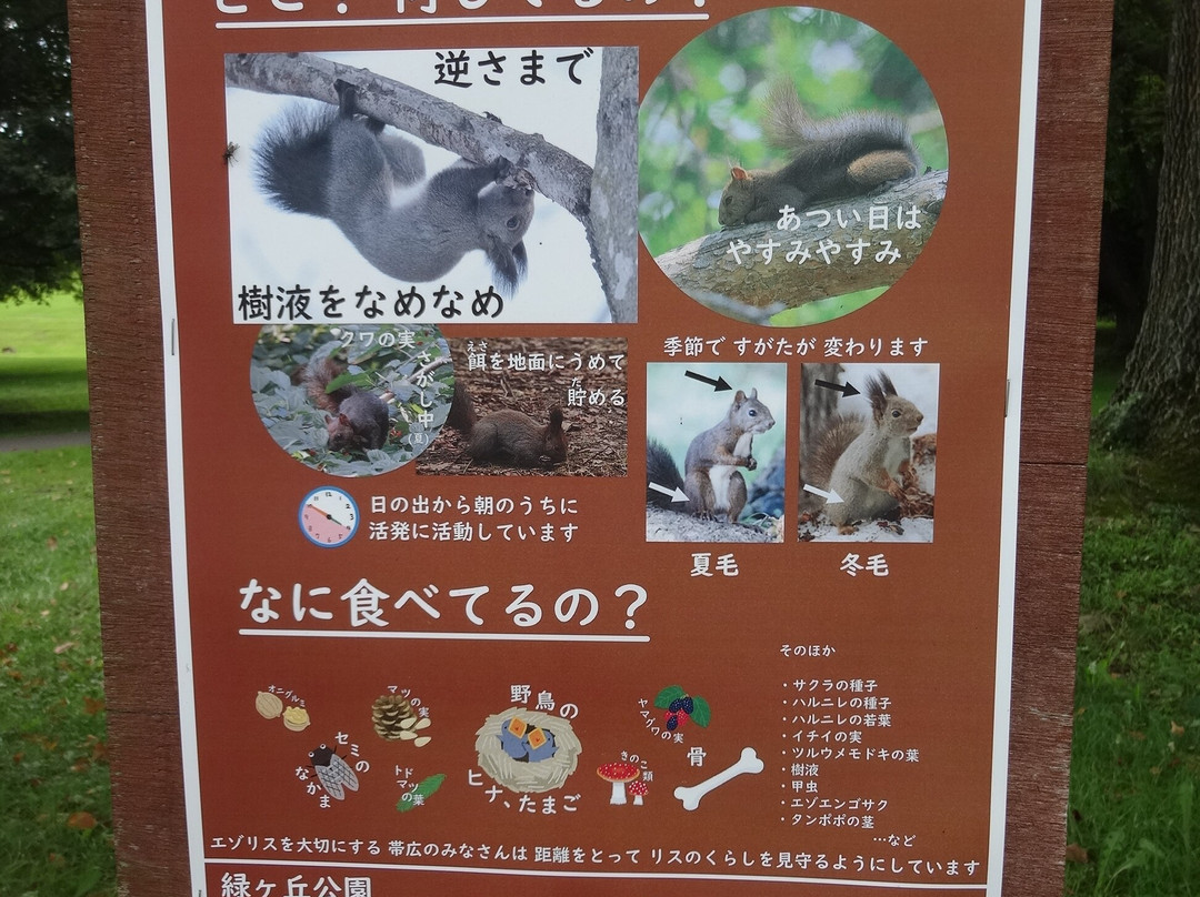 绿丘公园-带广市必去景点
