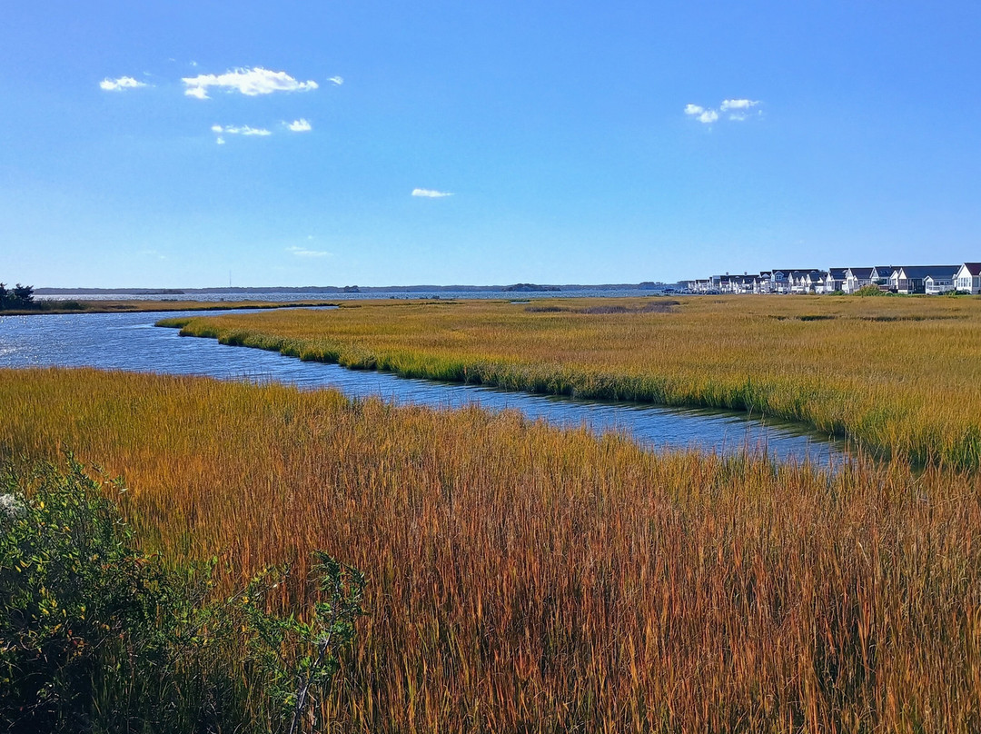 Northside Park-大洋城必去景点