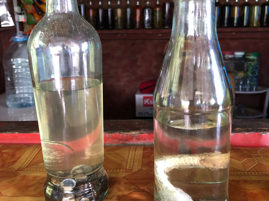 Ricky'sToursVoyage&Services-罗索必去景点