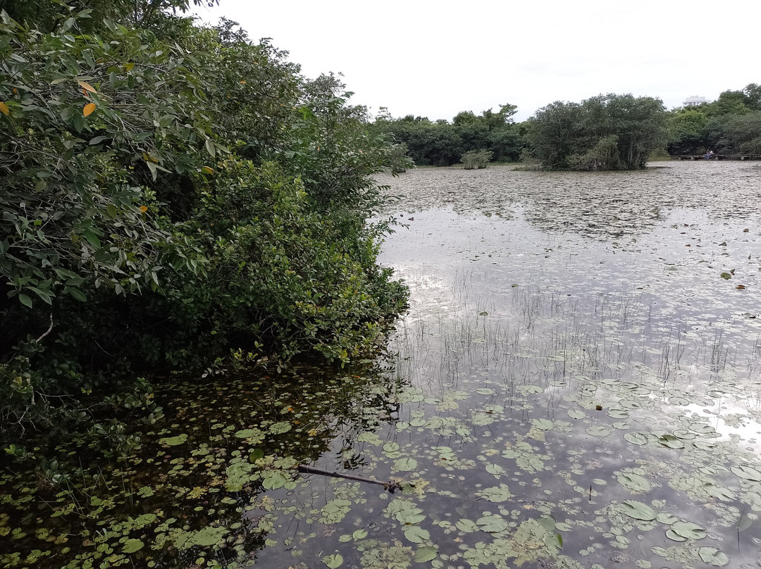 Beddegana Wetland Park景点图片