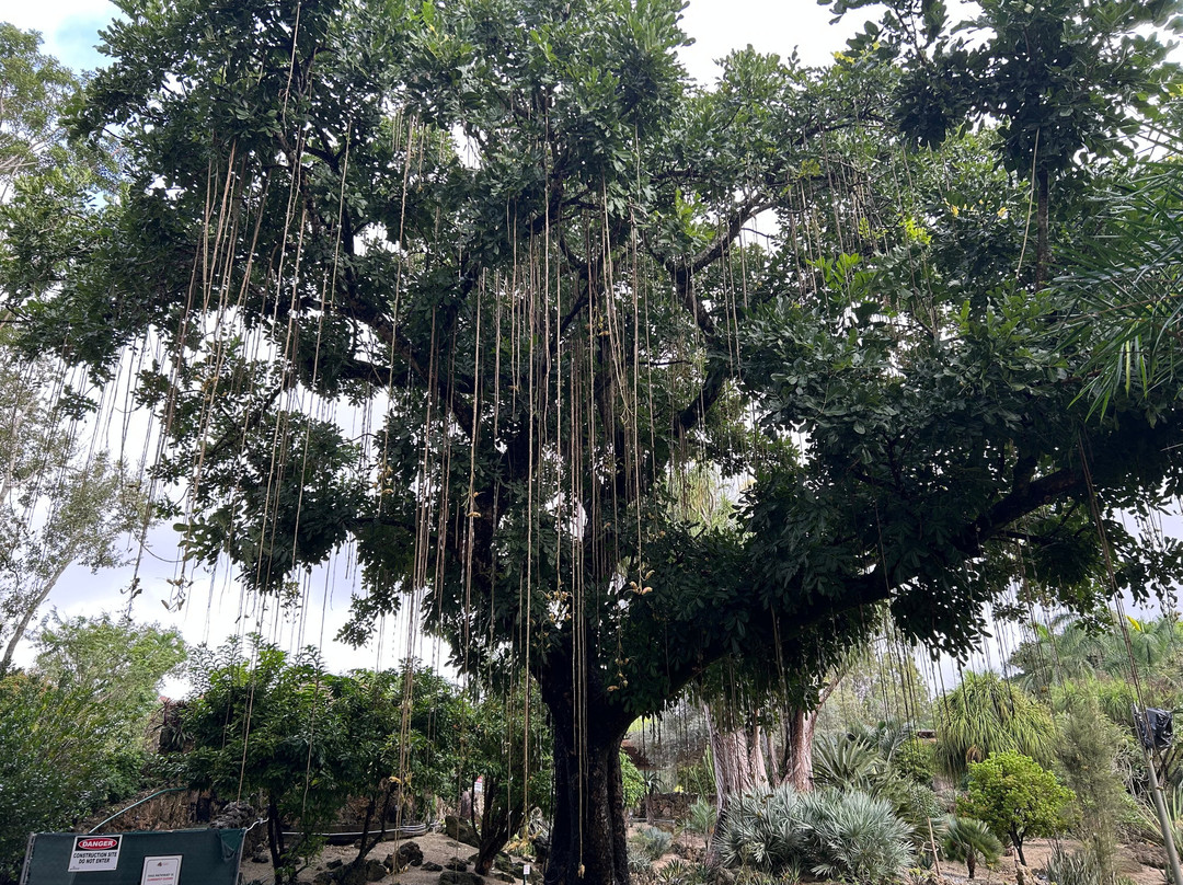 Pinecrest Gardens-Pinecrest必去景点