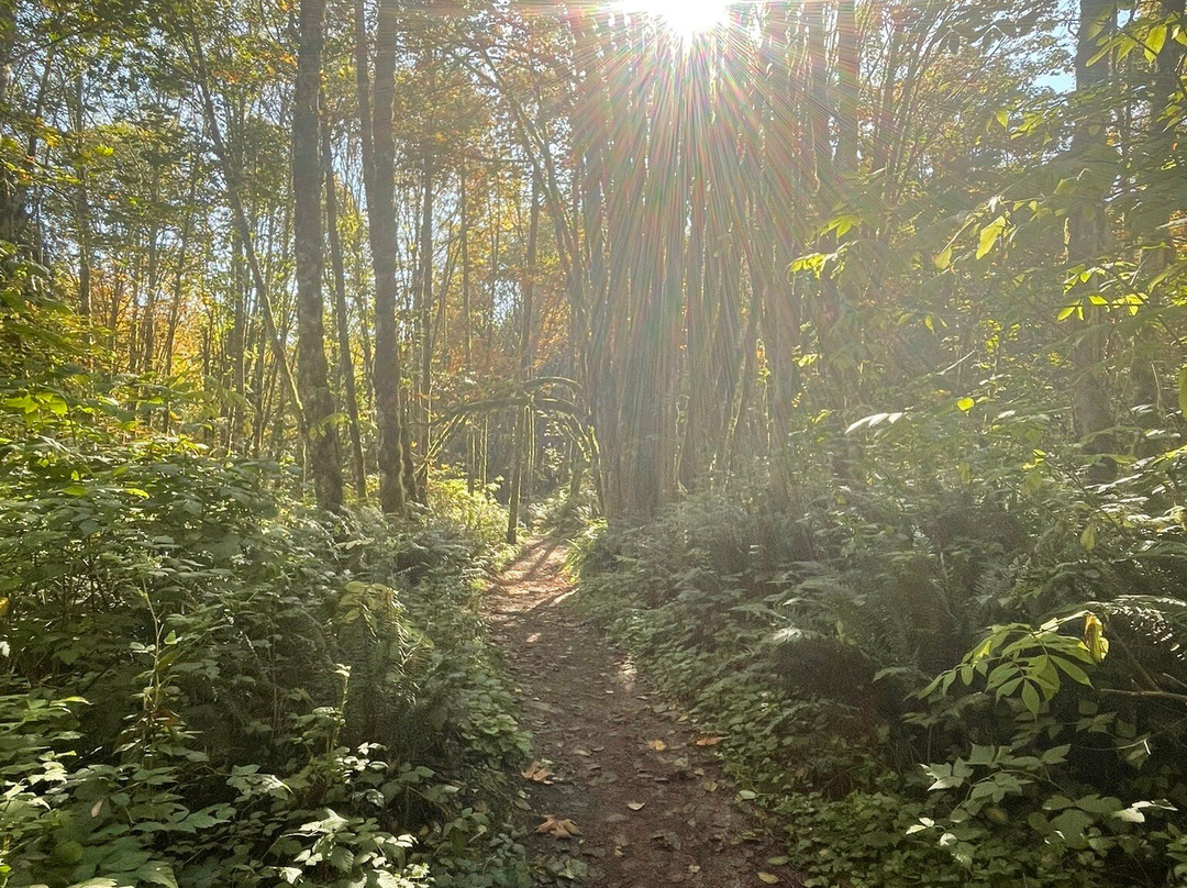 Lord Hill Regional Park景点图片