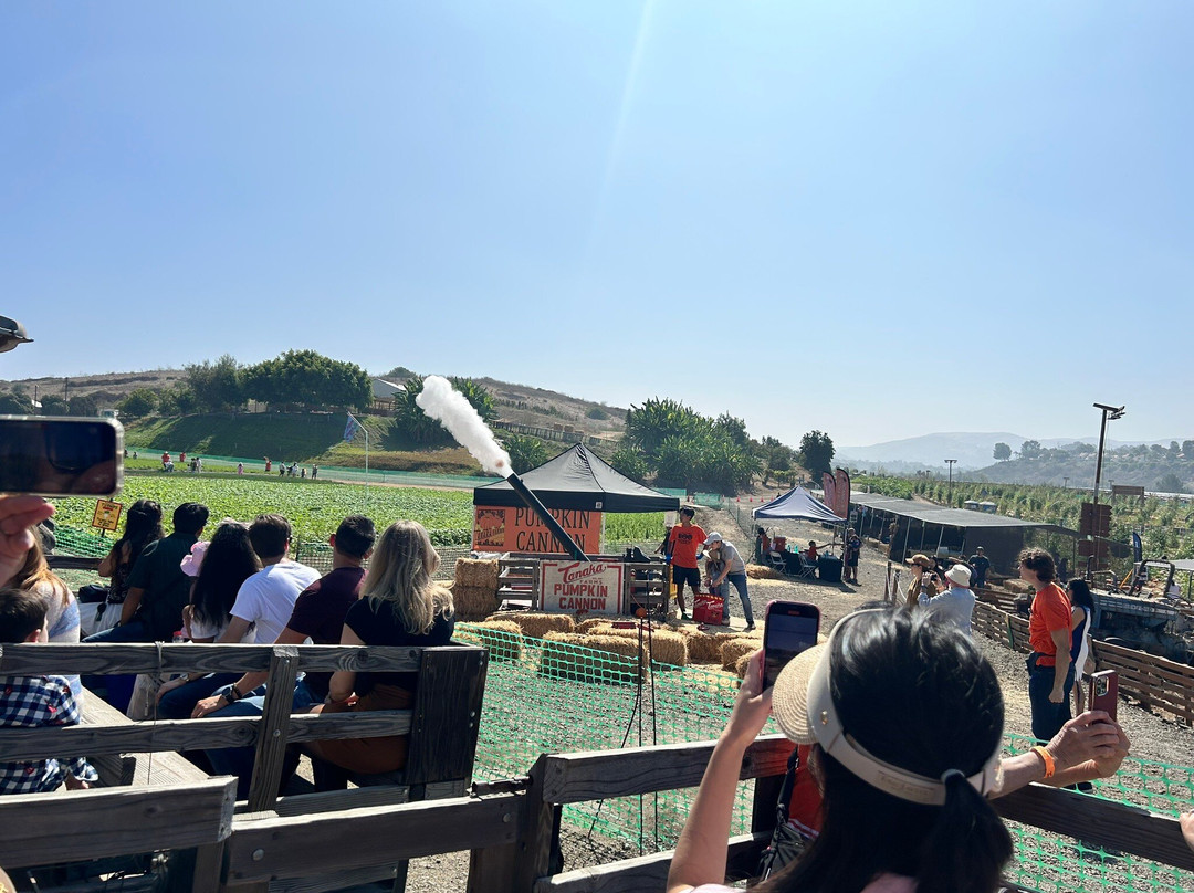 田中农场-尔湾必去景点