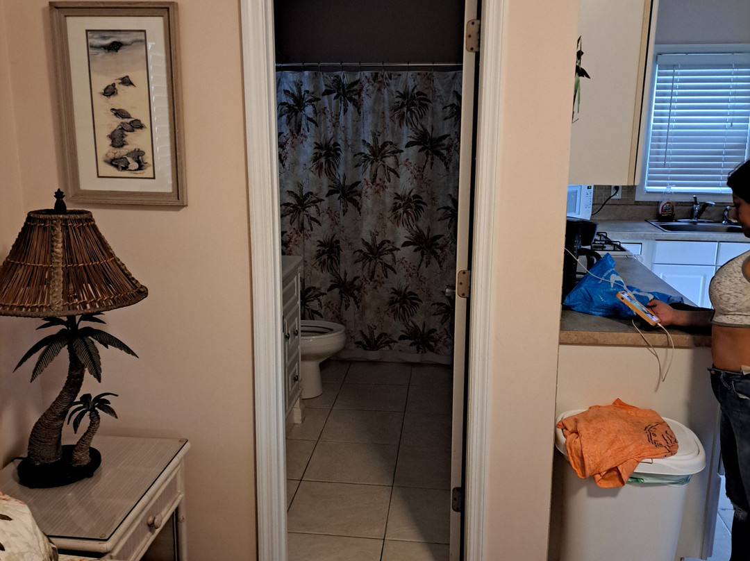 Driftwood Motel主图