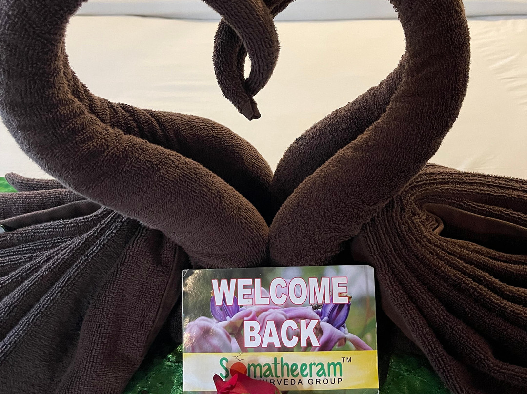 索玛希拉姆印度疗养度假酒店主图