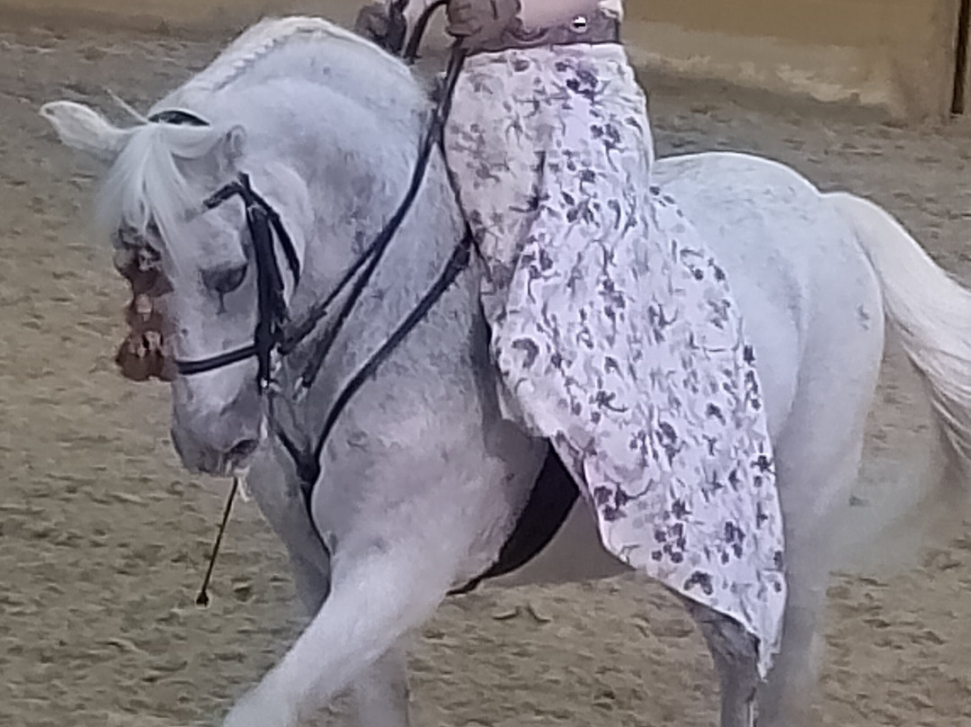 Centro de Equitacion El Ranchito-托雷莫里诺斯必去景点