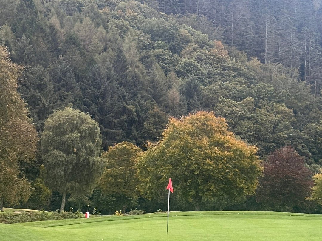 Woodenbridge Golf Club景点图片