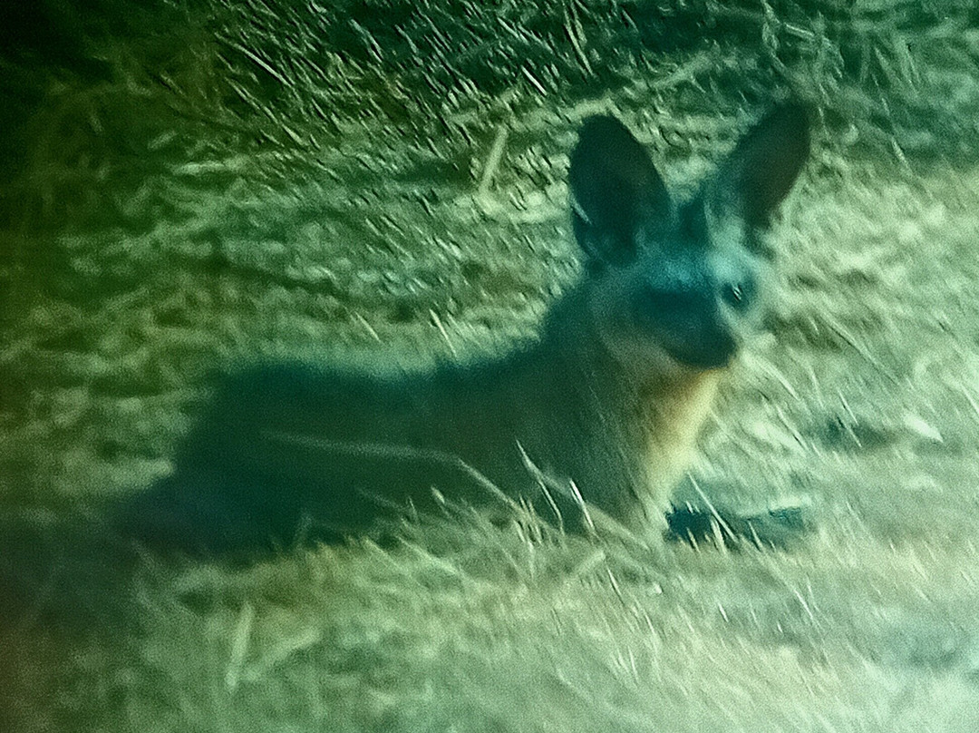 Safari Fleva-Dar es Salaam必去景点