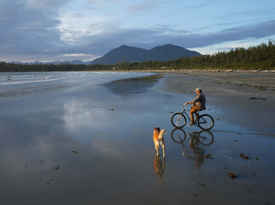 Tofino Bike Co景点图片
