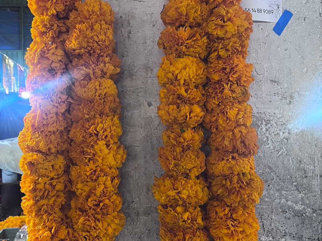 Mercado de Jamaica-墨西哥城必去景点