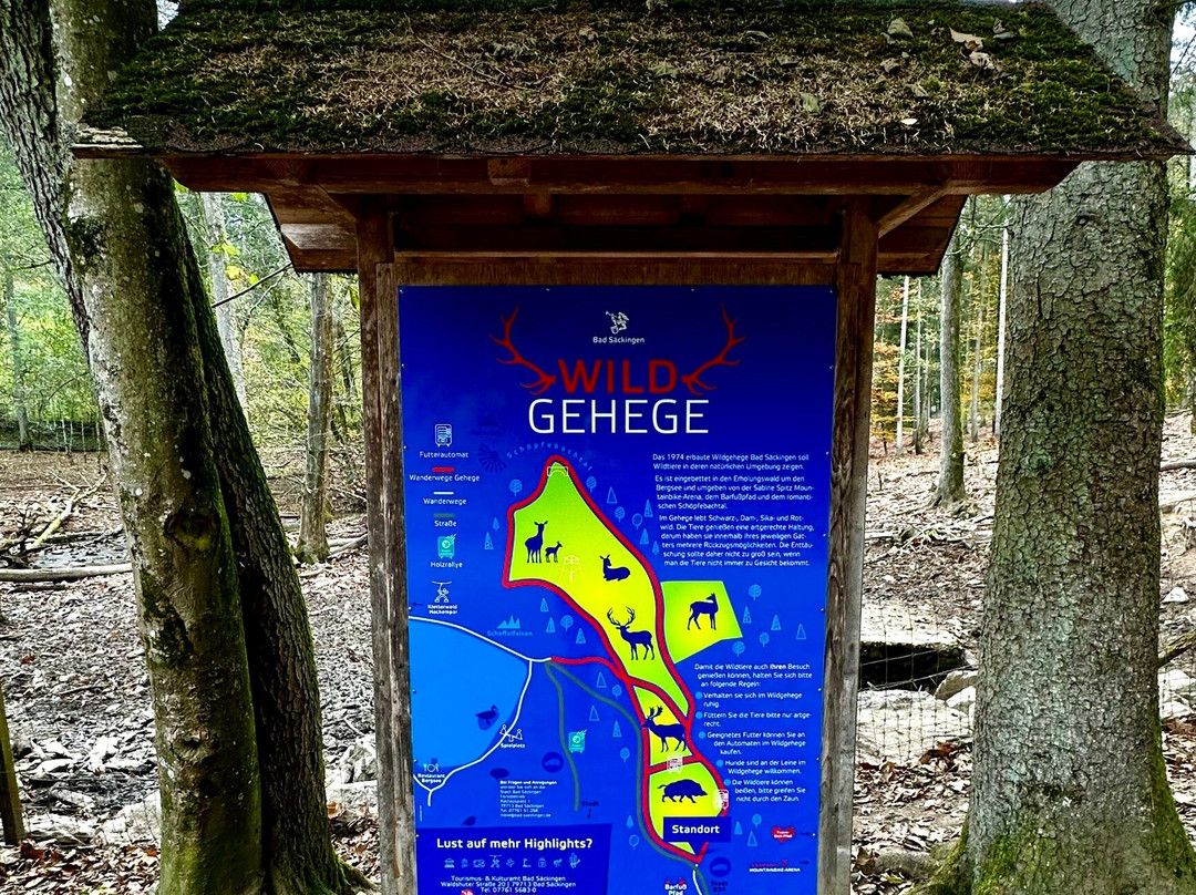 Bergsee-Bad Sackingen必去景点