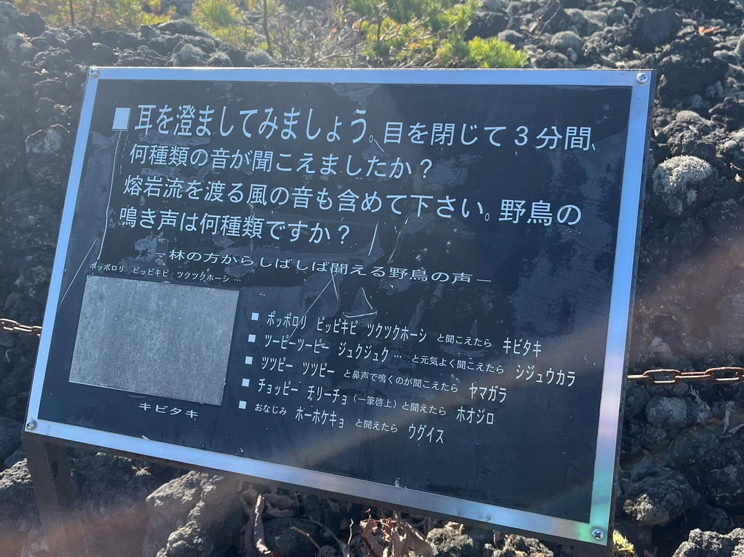 Mt. Iwate Yakehashiri Lava Flow-八幡平市必去景点
